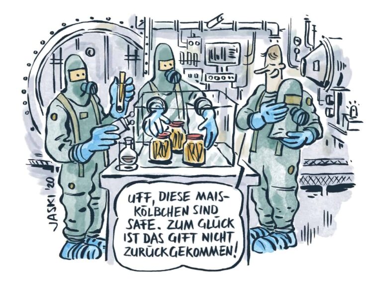 Tödliches Insektengift auf Schweizer Maiskölbchenfeldern? (Teil 2)