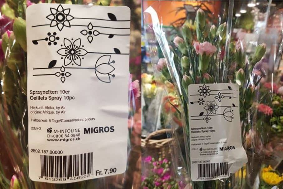 Die Migros fliegt mitten im Sommer Blumen vom afrikanischen Kontinent ein